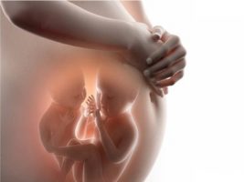 Hiện tượng có thai là gì? Chi tiết A – Z các dấu hiệu có thai 2020