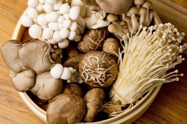 Các loại nấm là thực phẩm rất tốt để điều trị bệnh xương khớp