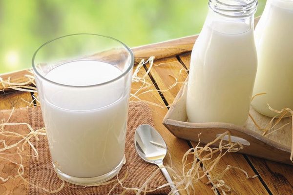 Dạ dày vi khuẩn HP có nên uống sữa?