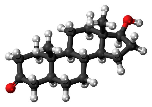 Dihydrotestosterone