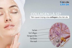 tam-quan-trong-collagen